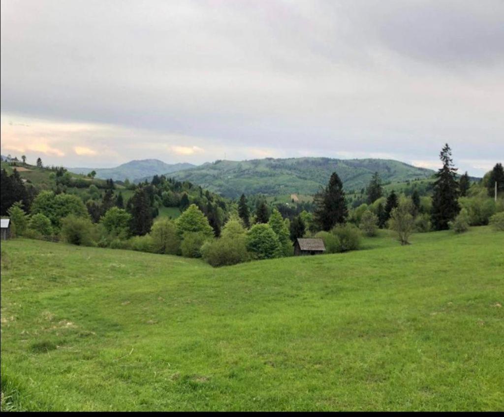 Pensiunea Trei Lalele Moisei Exterior photo